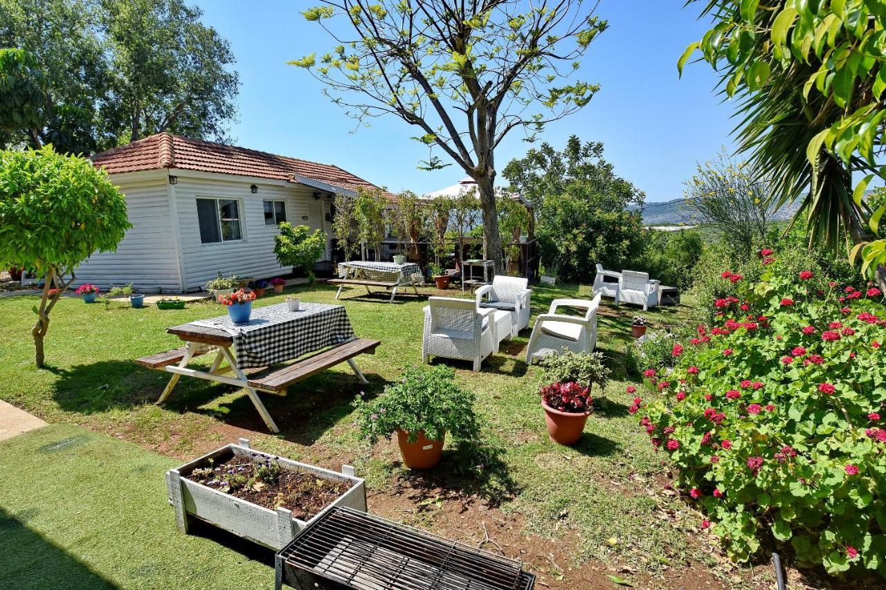 Biktot Nofim Villa Manot Buitenkant foto
